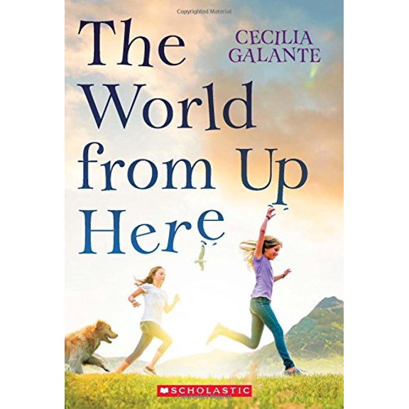 Pre-Owned The World from Up Here (Paperback) 0545848466 9780545848466