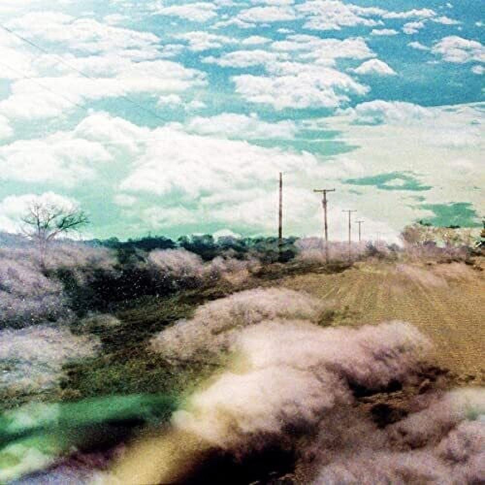 The World Is a Beautiful Place & I Am No Longer Afraid to Die - Always Foreign - Music & Performance - Vinyl
