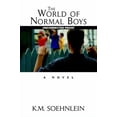 thumbnail image 1 of Pre-Owned The World of Normal Boys (Hardcover) 1575665956 9781575665955, 1 of 1
