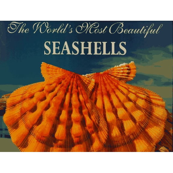 Pre-Owned The World's Most Beautiful Seashells (Paperback) 1884942008 9781884942006