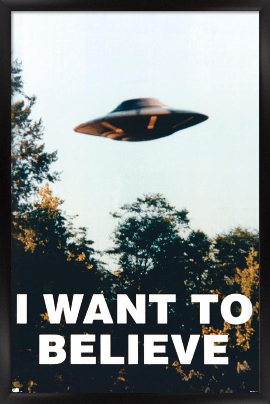 Xfiles I Want To Believe