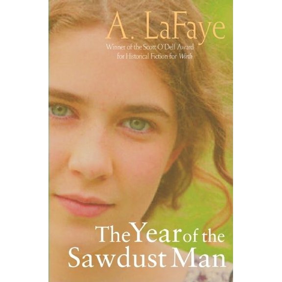 The Year of the Sawdust Man (Paperback)
