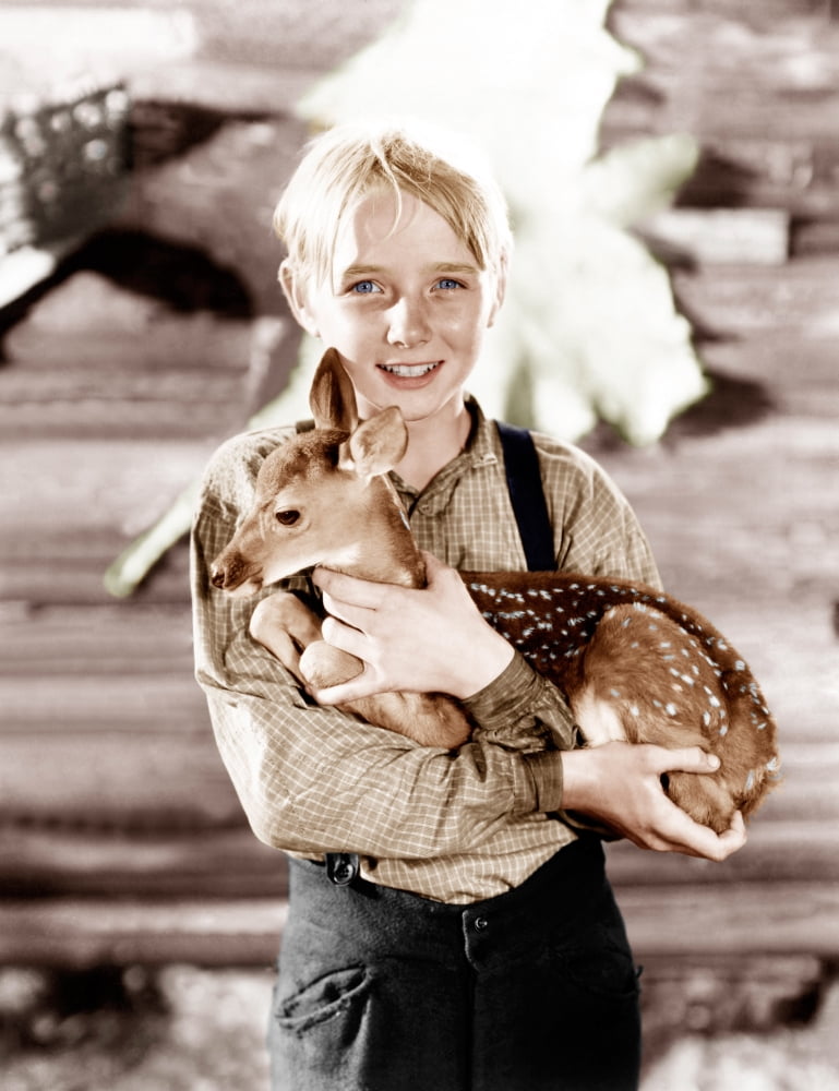 The Yearling Canvas Art - (16 x 20)
