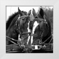 thumbnail image 1 of The Yellowstone Collection 12x12 White Modern Wood Framed Museum Art Print Titled - Tandem, 1 of 4