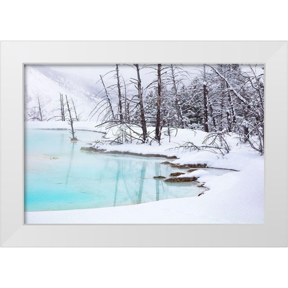 The Yellowstone Collection 14x11 White Modern Wood Framed Museum Art Print Titled - Newly formed Pool at Canary Spring, Yellowstone National Park