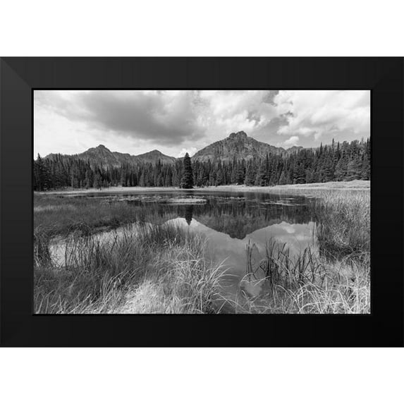 The Yellowstone Collection 18x13 Black Modern Framed Museum Art Print Titled - Custer-Gallatin National Forest, Knox Lake Trail, Yellowstone National Park