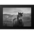 thumbnail image 1 of The Yellowstone Collection 18x13 Black Modern Framed Museum Art Print Titled - Gray Day, 1 of 4