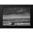 thumbnail image 1 of The Yellowstone Collection 18x13 Black Modern Framed Museum Art Print Titled - Grizzly, Lamar Valley, Yellowstone National Park, 1 of 4