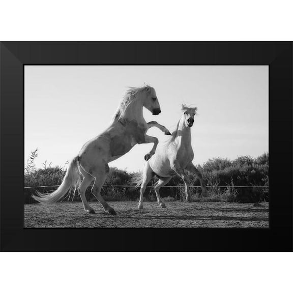 The Yellowstone Collection 18x13 Black Modern Framed Museum Art Print Titled - Horse Dance