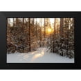 thumbnail image 1 of The Yellowstone Collection 18x13 Black Modern Framed Museum Art Print Titled - Sunrise through the lodgepole pine, Yellowstone National Park, 1 of 4