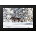thumbnail image 1 of The Yellowstone Collection 18x13 Black Modern Framed Museum Art Print Titled - Wolf Moving through Fresh Snow, Yellowstone National Park, 1 of 4
