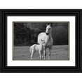 thumbnail image 1 of The Yellowstone Collection 18x13 Black Ornate Wood Framed with Double Matting Museum Art Print Titled - Palomino Horse and Colt, 1 of 4