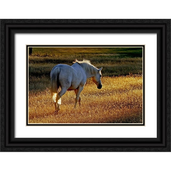 The Yellowstone Collection 18x13 Black Ornate Wood Framed with Double Matting Museum Art Print Titled - Summer Meadow II