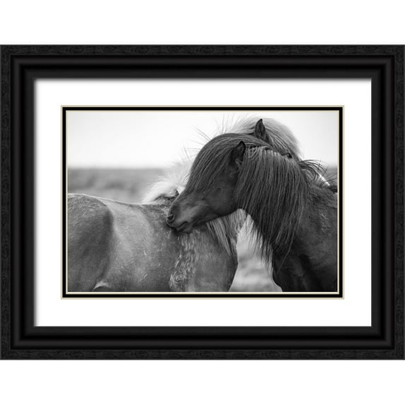 The Yellowstone Collection 24x17 Black Ornate Wood Framed with Double Matting Museum Art Print Titled - Close Friends