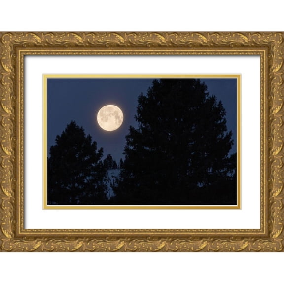The Yellowstone Collection 24x17 Gold Ornate Wood Framed with Double Matting Museum Art Print Titled - Full Moon sets Over Sepulcher Mountain, Yellowstone National Park