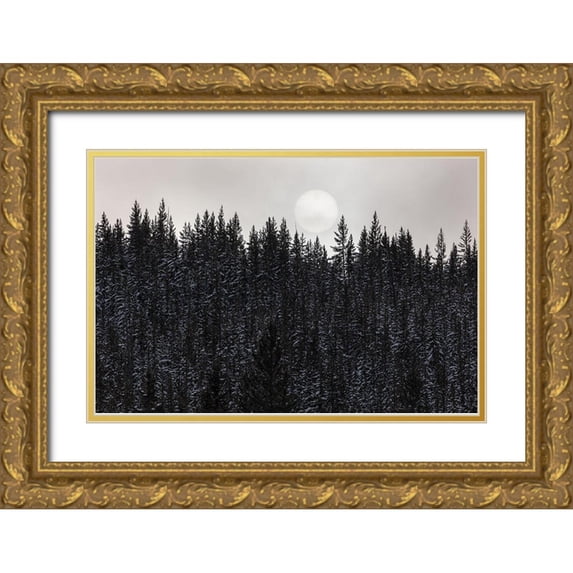 The Yellowstone Collection 32x23 Gold Ornate Wood Framed with Double Matting Museum Art Print Titled - Sun through the Fog, Yellowstone National Park
