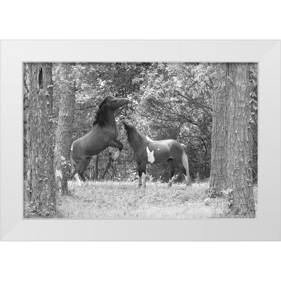 The Yellowstone Collection 32x23 White Modern Wood Framed Museum Art Print Titled - Wild Horses in the Forest