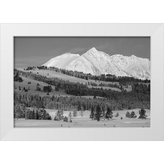 The Yellowstone Collection 32x23 White Modern Wood Framed Museum Art Print Titled - Winter Morning, Electric Peak, Yellowstone National Park