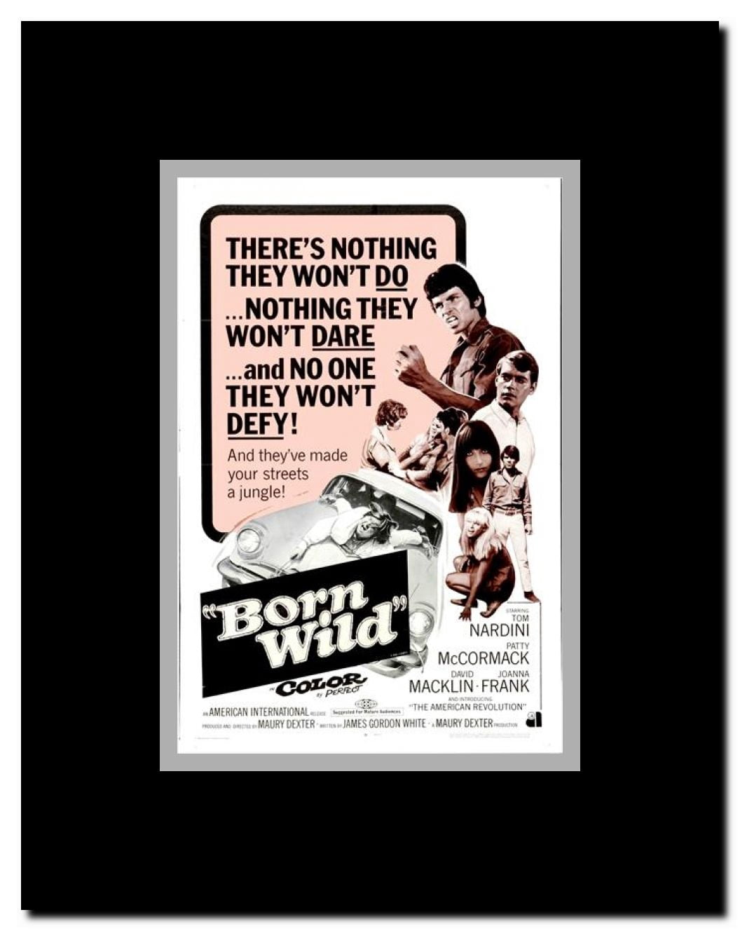 The Young Animals Framed Movie Poster