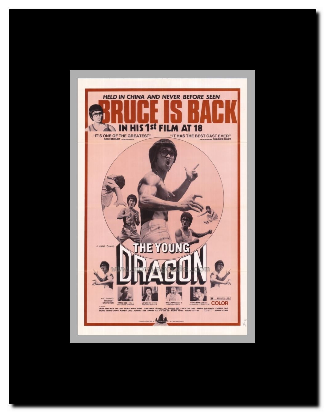 The Young Dragon Framed Movie Poster