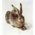 thumbnail image 1 of The Young Hare Poster Print by Albrecht Durer, 12 x 12 - Small, 1 of 1