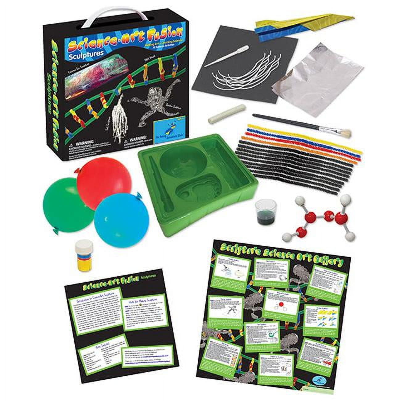 The Young Scientists Club Science Art Fusion Sculptures Kit - Walmart.com