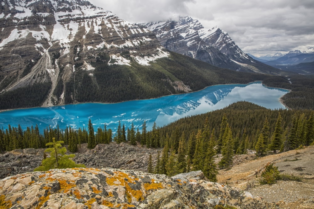 The aquamarine waters of Peyto Lake Banff National Park Alberta Canada Canvas Art - Robert Postma Design Pics (38 x 24)