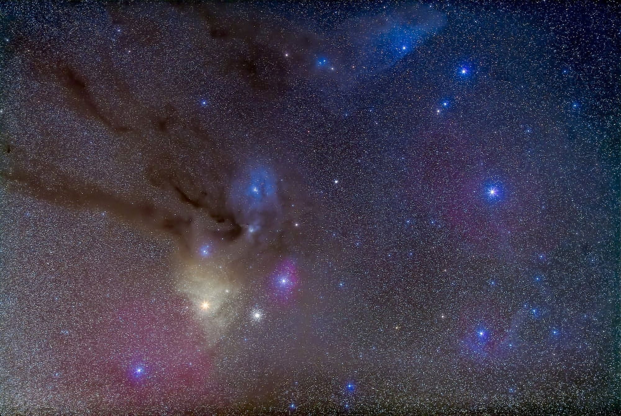 The area around the head of Scorpius Canvas Art - Alan DyerStocktrek Images (34 x 23)
