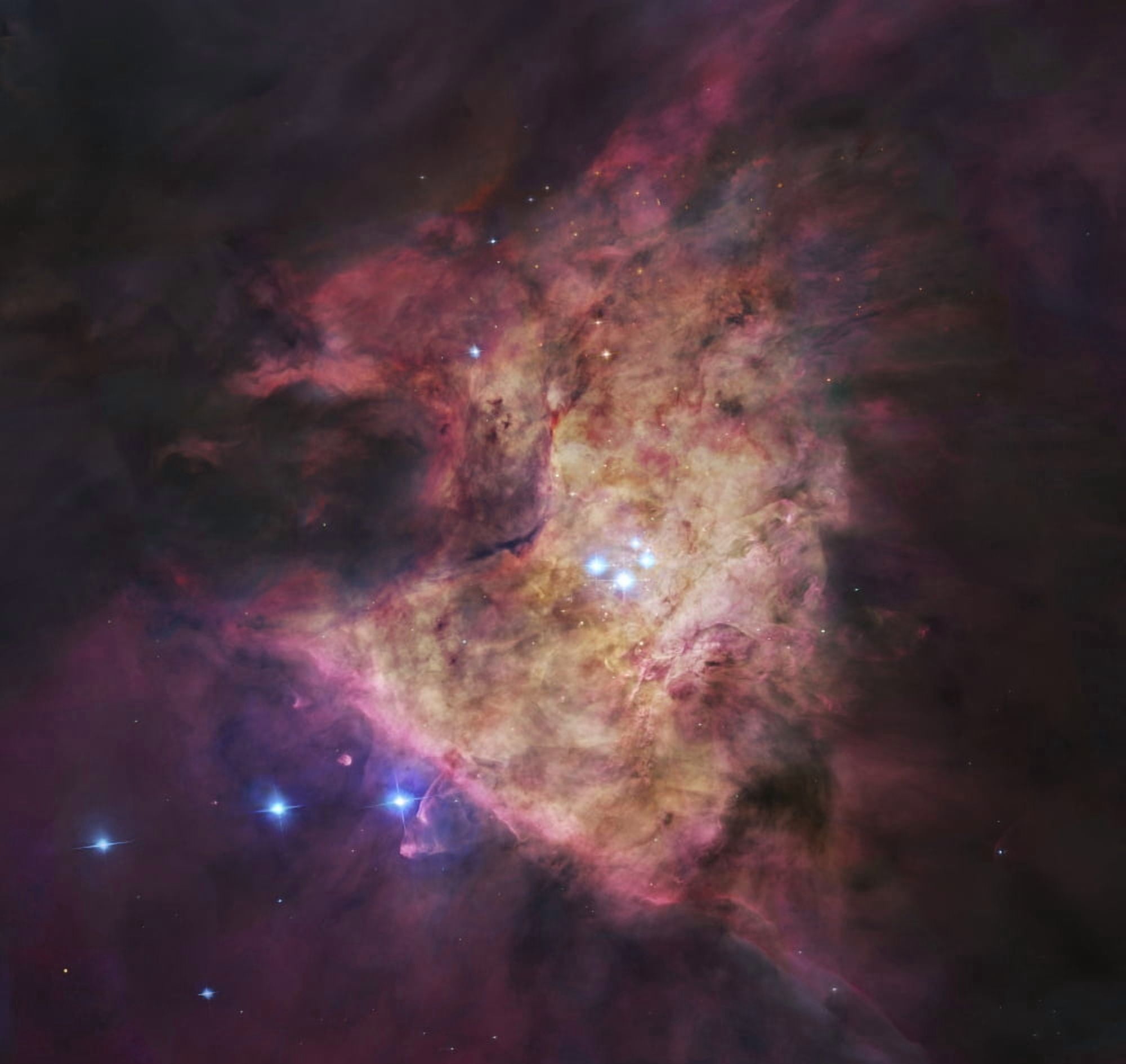 The center of the Orion Nebula known as the Trapezium Cluster Canvas Art - Robert GendlerStocktrek Images (29 x 27)