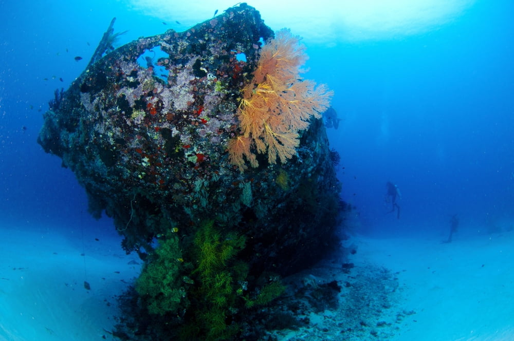 The coral encrusted stern of the Japanese Cross Wreck Canvas Art - Steve JonesStocktrek Images (18 x 12)