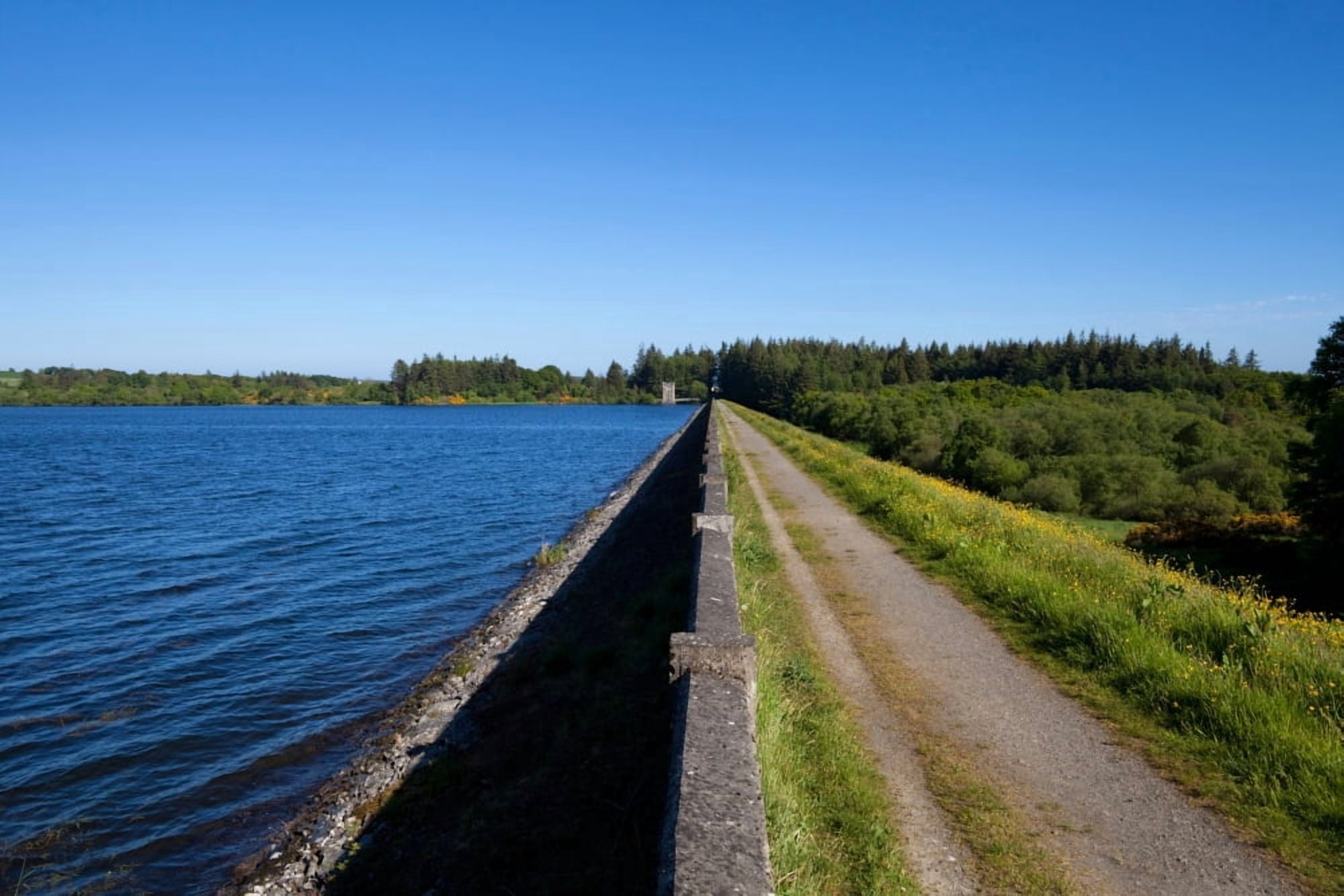 The dam Vartry Reservoir County Wicklow Ireland Canvas Art - Panoramic Images (36 x 12)