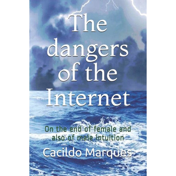 The dangers of the Internet (Paperback)