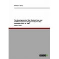 thumbnail image 1 of The development of the Mexican low- and middle-income housing market since the economic crisis of 1994 Paperback 3640278100 9783640278107 Michael A. Braun, 1 of 1