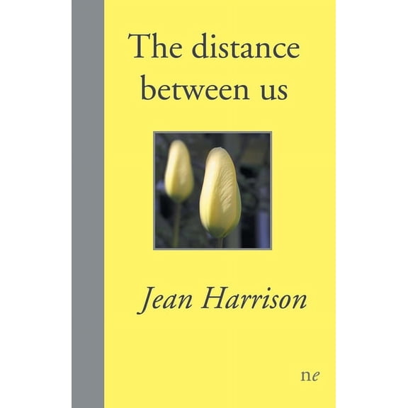 The distance between us, (Paperback)