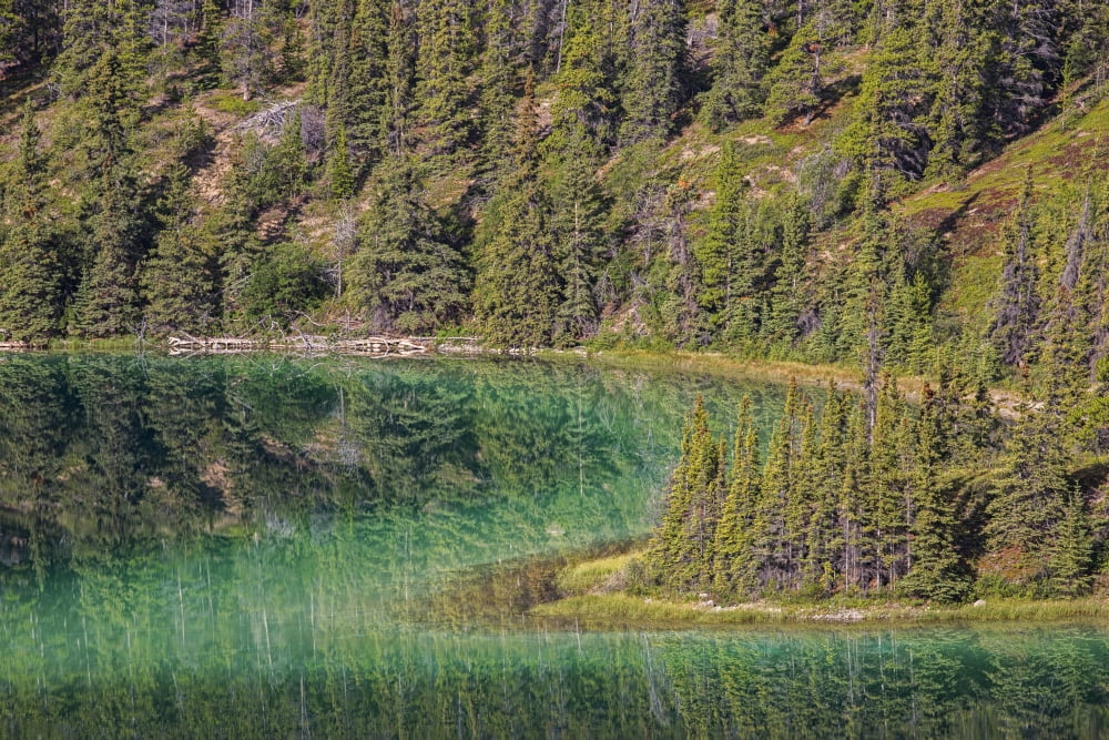 The emerald green waters of Emerald Lake near Carcross Yukon Canada Canvas Art - Robert Postma Design Pics (19 x 12)