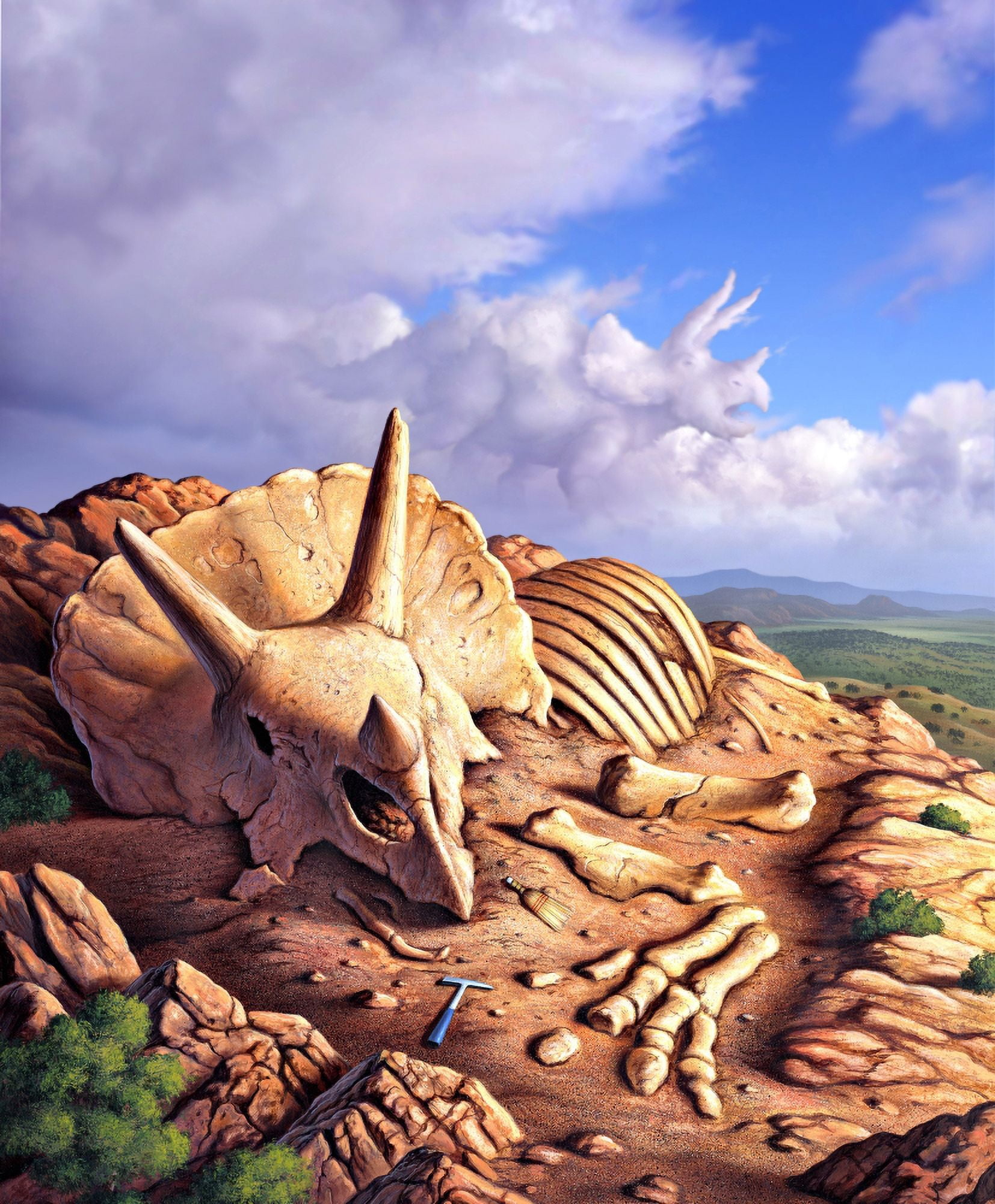The exposed bones of a Triceratops on a western landscape Canvas Art - Jerry LoFaroStocktrek Images (26 x 31)