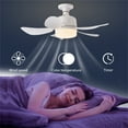 The fan blows cold air portable ladies gifts 17.7 Inch E26/E27 Base Small Ceiling Fan With Light