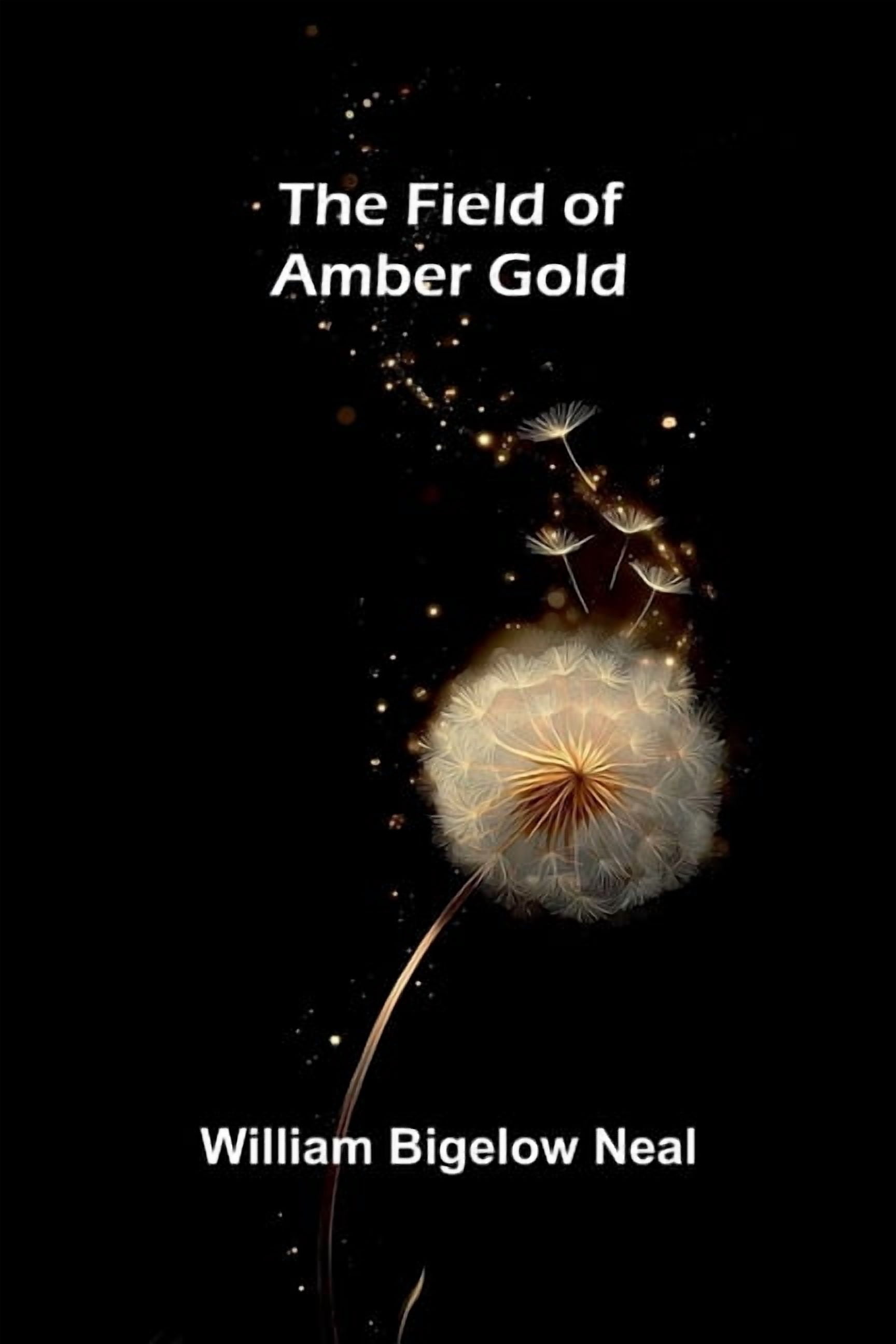 The field of amber gold, (Paperback)