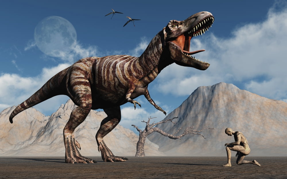 The first man Adam kneels down before the famous T-Rex dinosaur Canvas Art - Mark StevensonStocktrek Images (36 x 23)