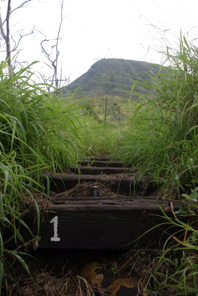 The first step invites hikers up Koko Crater Canvas Art - Stocktrek Images (23 x 35)