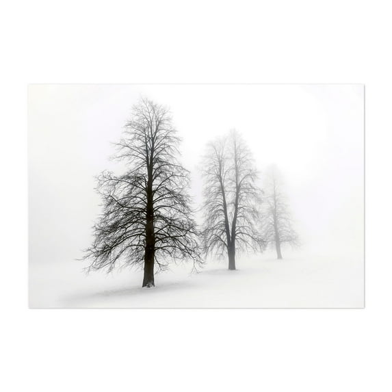 The forest of fog - Photography Winter Foggy Snow Nature Landscape Minimalist Woodland Unframed Wall Art Print 4 x 6 inches
