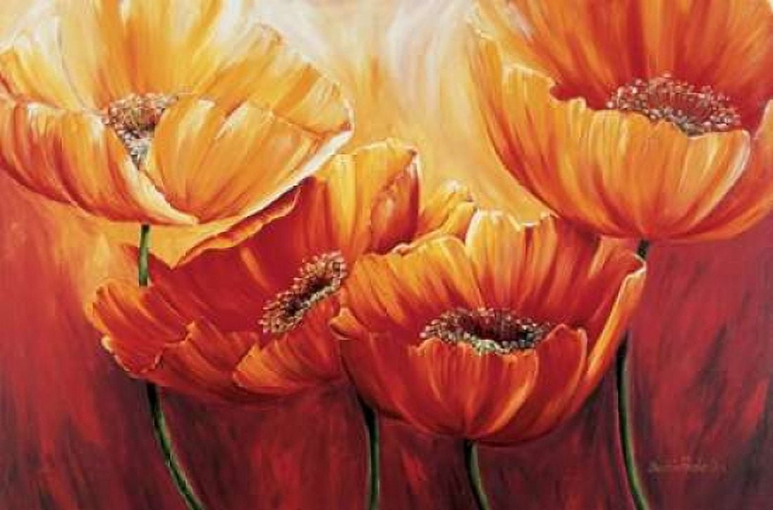 The four poppies Canvas Art - Beatrix Frederiks (12 x 18)