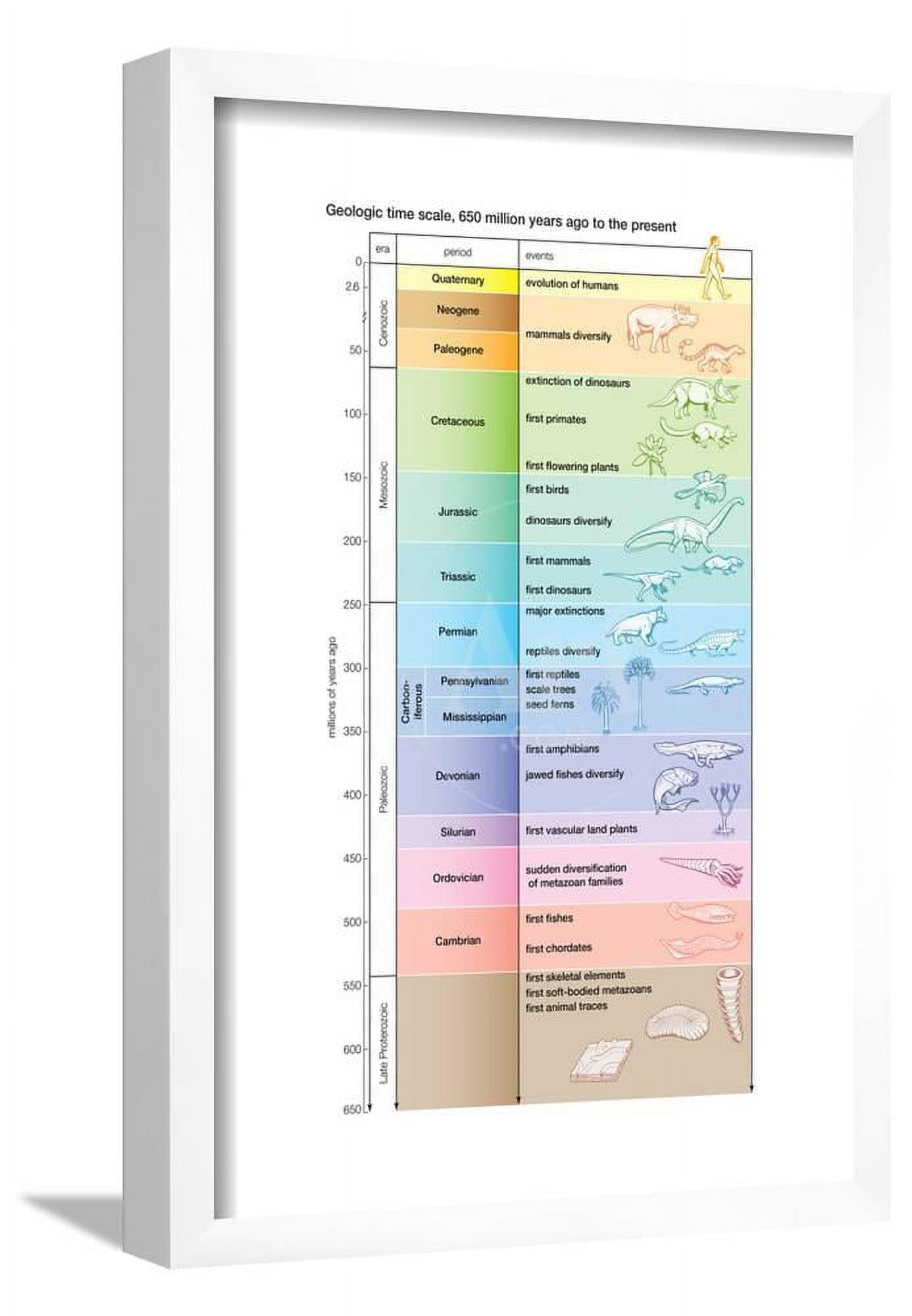 The geologic time scale from 700,000,000 years ago to the present ...