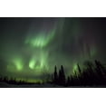 thumbnail image 1 of The green glow of the Aurora Borealis Poster Print, 1 of 4
