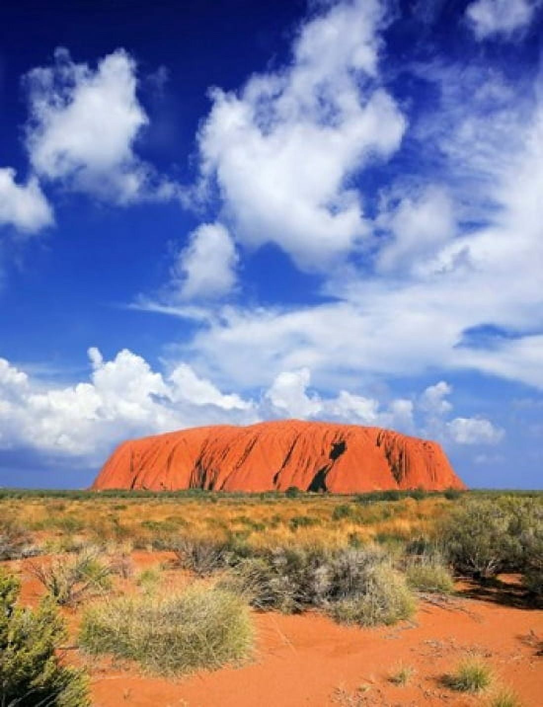 The holy mountain of Uluru Ayers Rock Australia Canvas Art - Miva Stock DanitaDelimont (20 x 26)