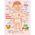 thumbnail image 1 of The human skeletonposter Suitable for medical education posters for students, and can also be used as classroom and hospital office decoration, 1 of 1