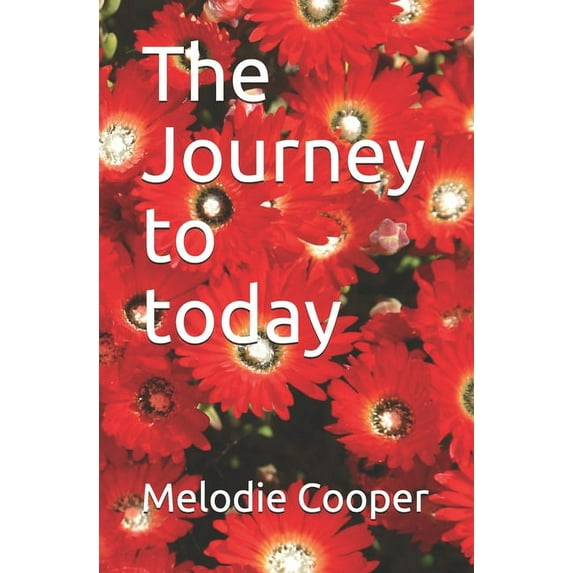 The journey to today (Paperback)