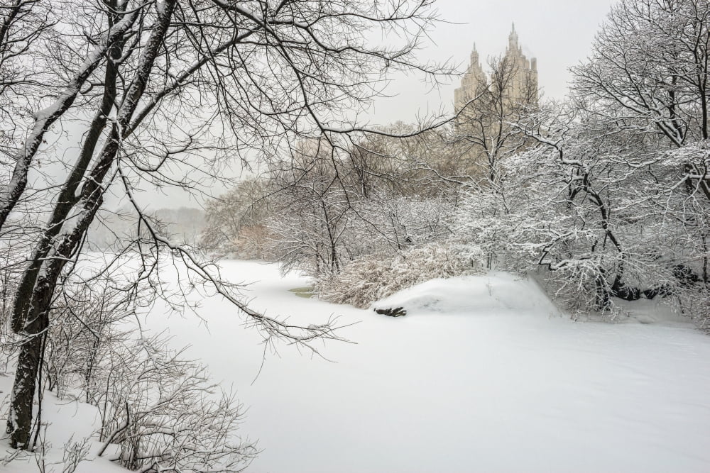 The lake frozen over and snow-covered Central Park New York City New York United States of America Canvas Art - F M Kearney Design Pics (19 x 12)