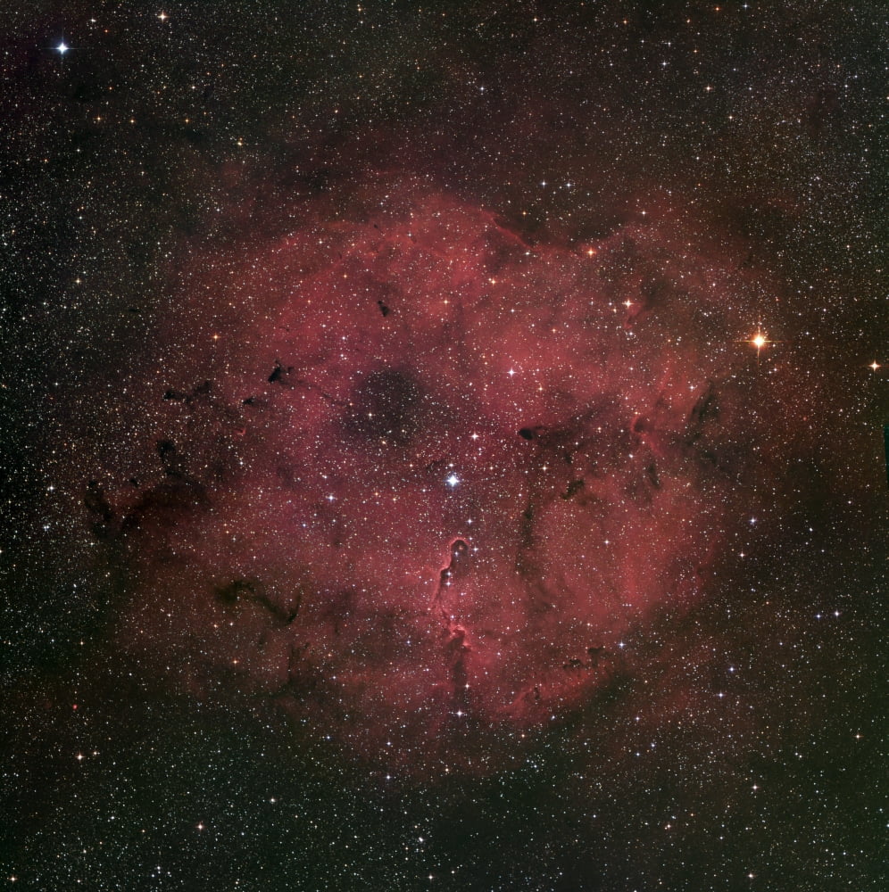 The large IC 1396 emission nebula complex Canvas Art - Robert GendlerStocktrek Images (28 x 28)