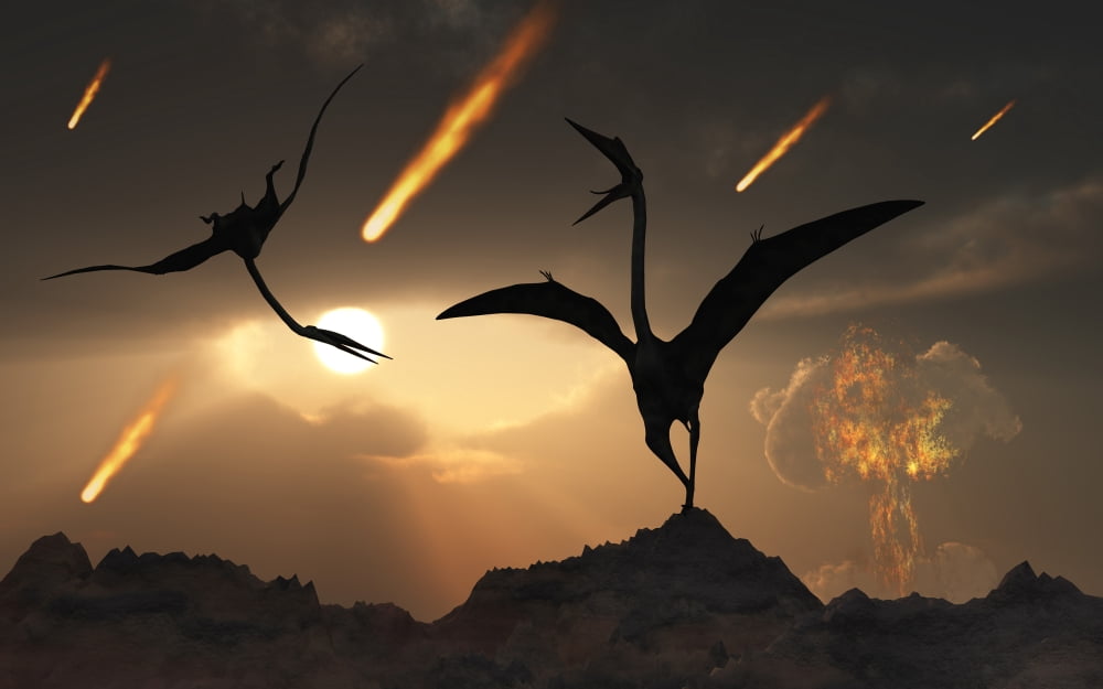 The last days of Quetzalcoatlus during the Cretaceous Period Canvas Art - Mark StevensonStocktrek Images (36 x 23)